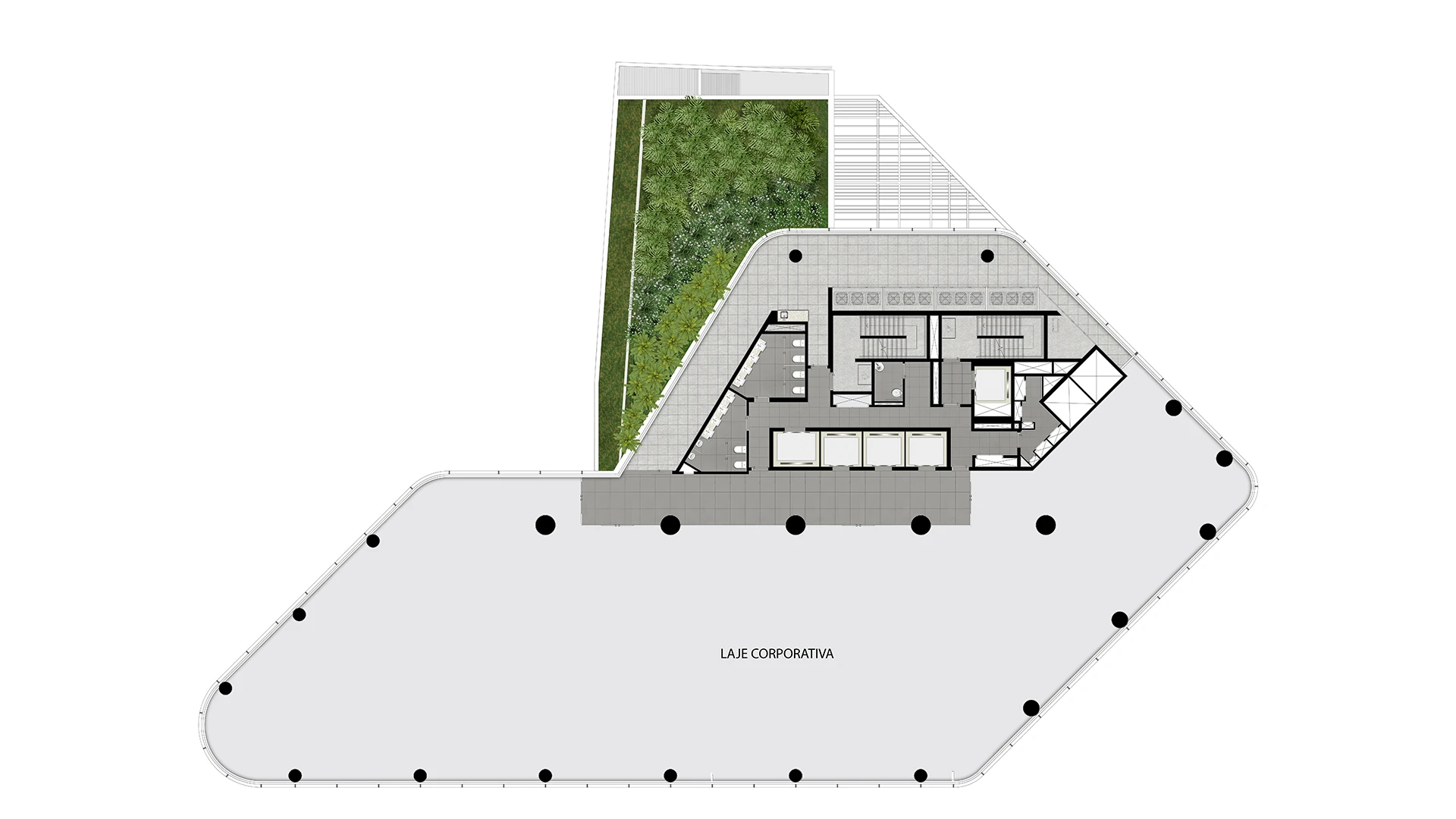 Planta